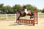 SBM_002623