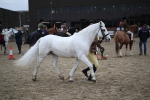 SBM_006175