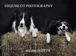 equiscot2074