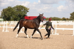 SBM_03467