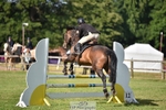 Cls 156 85cm Amateur Qualifier portfolio