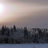 Frigid Morn