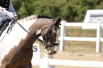 SBM_002655