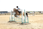 SBM_001964