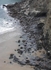 Hole Beach - Trebarwith