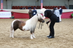 SBM_17341