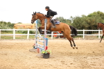SBM_003227
