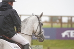 Cls 35, 7 Yr Olds 1.30m portfolio