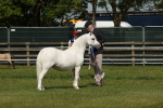 SBM_02404