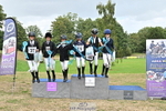 Dressage Presentations portfolio