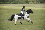 BVHT 140517  NXC -47