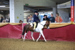 SBM_14888