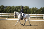 SBM_004227