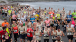 Guernsey Milk Half Marathon 2018-40