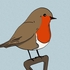 Robin