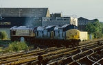 21st August 2001