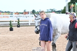 Trot Up 4pm to 5pm portfolio