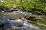 The East Lyn river near Lynmouth