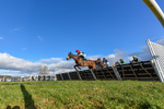 250225-Race 3-Ballyvango-0660