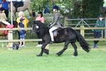 SBM_51853