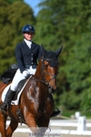 264-BALLADEER_JUST_FOR_KICKS-Ellie_Healy-WEDTrotUp+DR portfolio