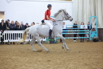 SBM_003313
