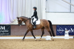 SBM_004336