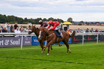 160926-Race 4-Woodvale-0666