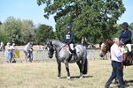 WJ6_8461
