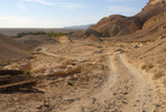 Chebika oasis track