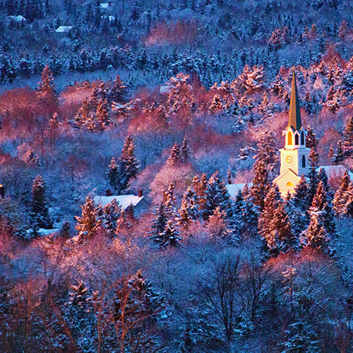 An autumn snowstorm becomes illuminated by the magic light of late afternoon and around the thriving woodland within…