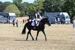 WJ6_8310