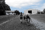 carolyn_018