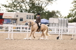 SBM_18199