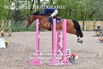 BPP_3934