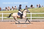 BPP_1593