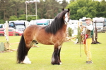 SBM_06070