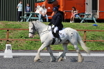 SIAL0408