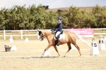 SBM_004308