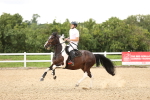 SBM_001314