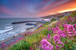 z3630 Sunset Light, Ventnor