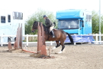 SBM_09929