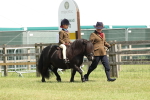 SBM_05188
