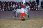 SBM_003712