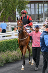 260826-Race 1-Mugheer-2171
