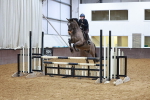 SBM_001768