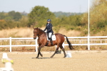 SBM_016660