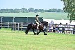SBM_13994