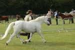 SBM_00510