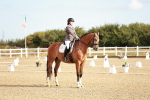 SBM_008600